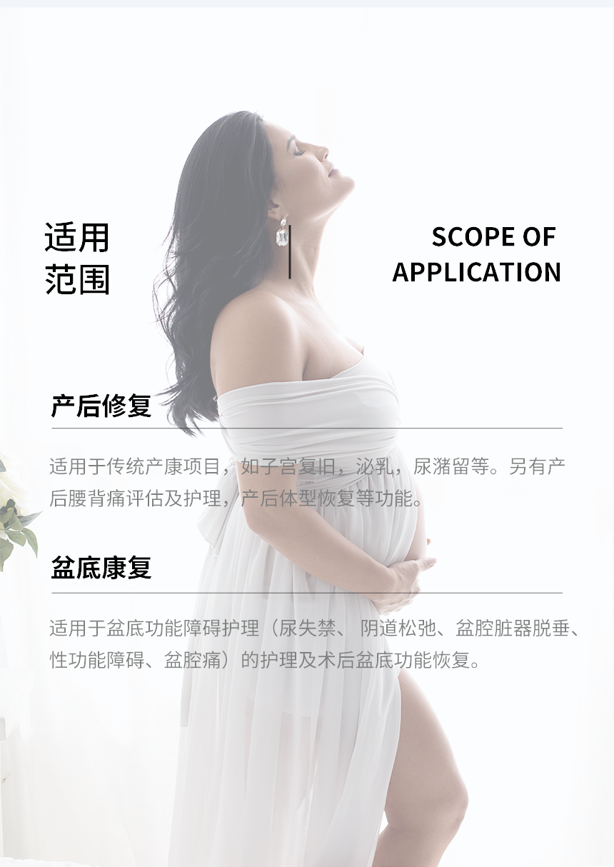 台式盆底生物反馈护理仪
