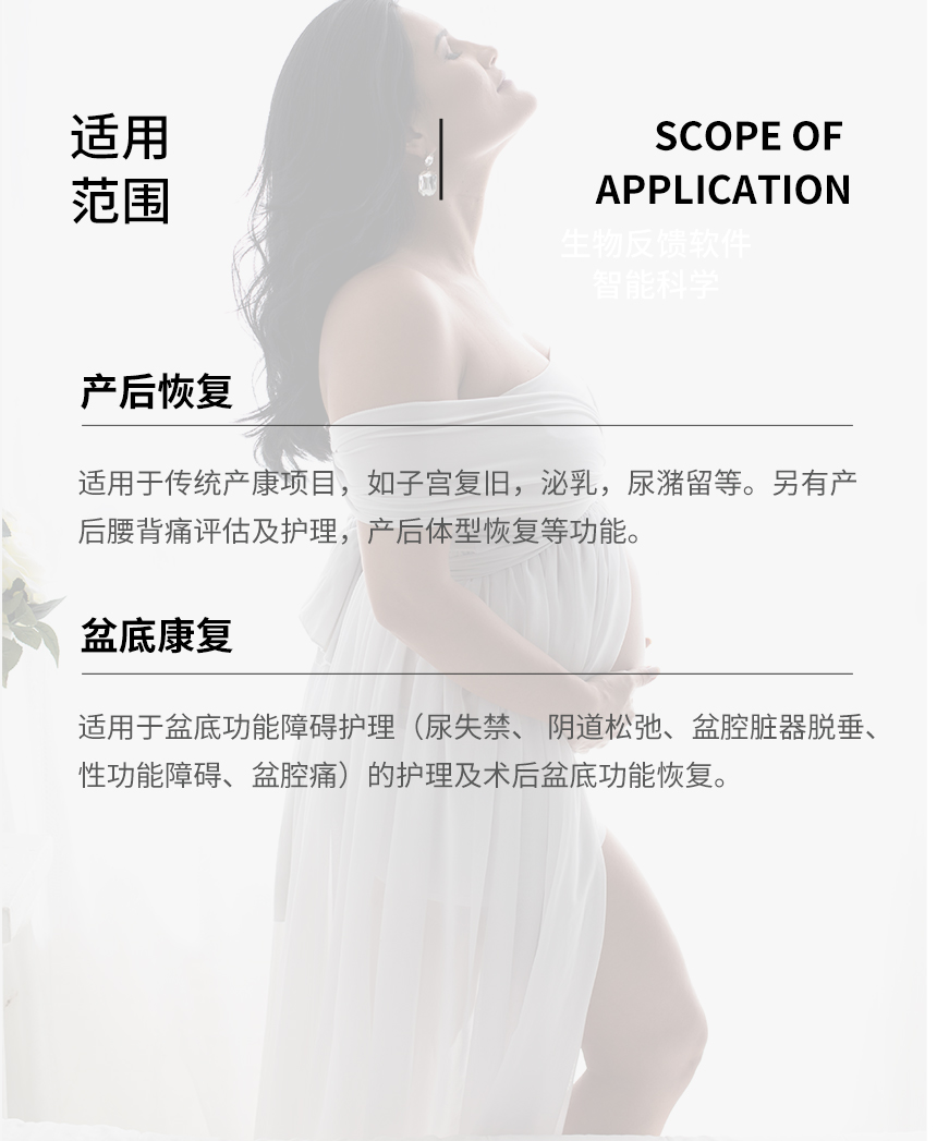 豪华版生物反馈护理仪
