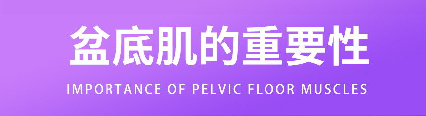 妇科产康护理仪