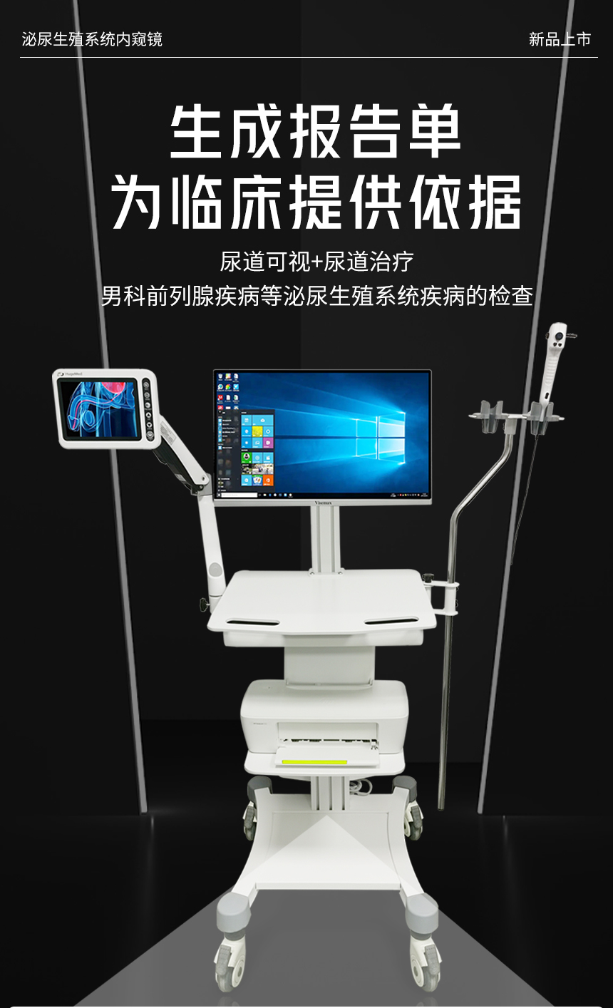 泌尿生殖内窥镜检查系统