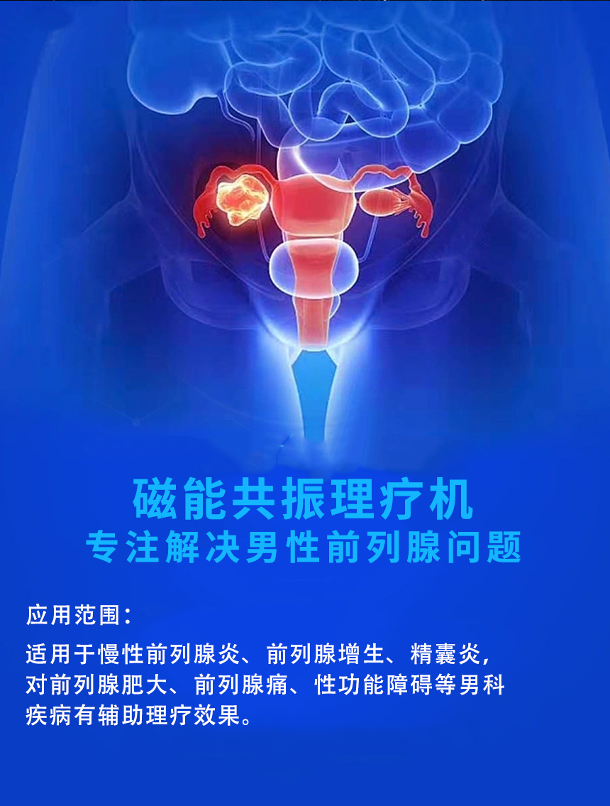 磁能共振理疗系统